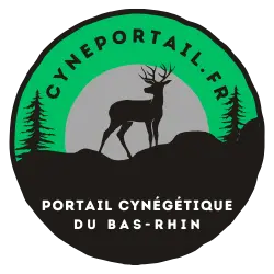 Cynéportail